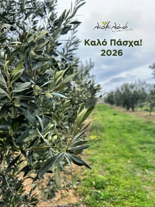 Instagram post from liocladi_. This post is in position 1.