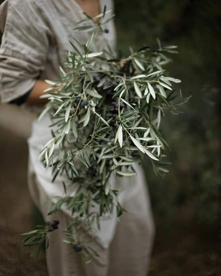 Instagram post from liocladi_. This post is in position 2.