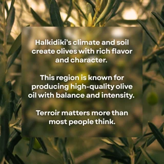 Instagram post from liocladi_. This post is in position 2.