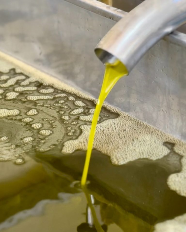 Instagram post from liocladi_. This post is in position 3.