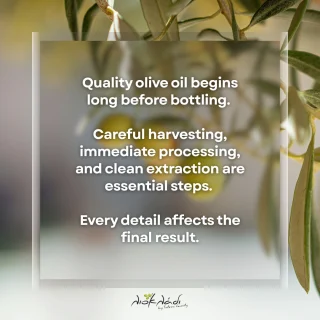 Instagram post from liocladi_. This post is in position 1.