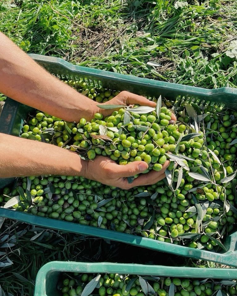 Instagram post from liocladi_. This post is in position 6.