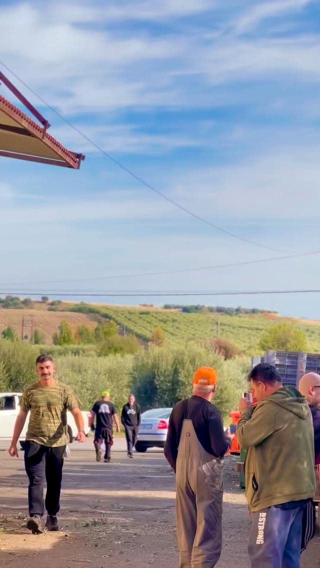 Instagram post from liocladi_. This post is in position 1.